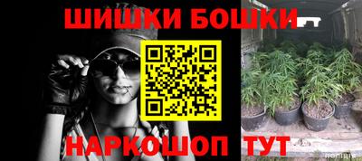 прущий лед Бийск